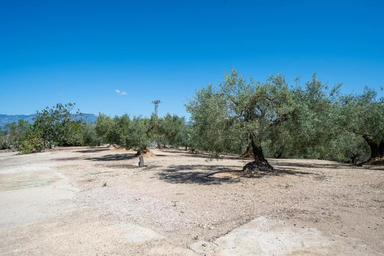 La Caseta Dels Iaios Masdenverge Exteriér fotografie